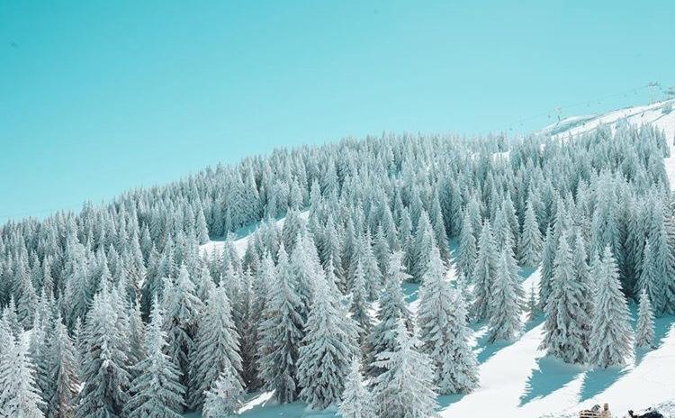 Dream Milmari L12 Apartman Kopaonik Exterior foto